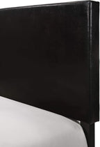 Crown Mark Erin Upholstered Panel Bed in Black, King