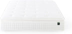ZINUS 13 Inch Euro Top Pocket Spring Hybrid Mattress, California King, Pressure Relief, Pocket Innersprings for Motion Isolation, Mattress in A Box