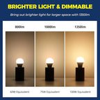 Lightinginside Smart Light Bulbs 100W Equiv., 1350LM 11W Smart Bulb Works with Alexa/Google Home/Smart Life, A19 E26 RGBCW Color Changing, No Hub Required, 2.4G WiFi Bluetooth Bulb, ETL Listed, 6PCS