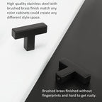 LONTAN 100 Pack Kitchen Cabinet Knobs Black Knobs for Dresser Drawers Sqaure Black Cabinet Hardware for Bathroom Cupboard,Stainless Steel