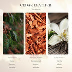Scentiment Diffuser Oil - Cedar Leather Fall Collection | Aromatherapy Home Fragrance | Luxurious Scent with Lemon, Jasmine Sandalwood, Amber, Lavender, Vanilla, & Musk (120ml)
