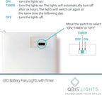 QBIS Warm White Fairy Lights Battery Operated With Timer Mode, 40 Micro LED for Mason Jars, 6.5ft Silver Wire Indoor Use
