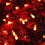 Brizled Orange Halloween Lights, 21.3ft 100-ct Incandescent Halloween String Lights Connectable, UL Certified Orange Light String, Black Wire Mini Light Set for Fall Season Holiday Thanksgiving Tree