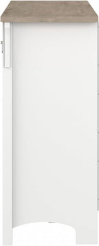 Bush Furniture Salinas Accent Storage Cabinet with Doors in Pure White and Shiplap Gray