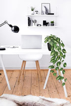 Artificial Pothos Ivy Plant with Pot Artificial Light Green Leaves Featuring for Home Shelf Decor Indoor Silk Artificial Plant Large