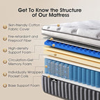 10 Inch Queen Size Hybrid Mattress with Gel Memory Foam and Individual Pocketed Coils for Motion Isolation & Edge Support, Medium Firmness for Pressure Relief, CertiPUR-US Certified,in a Box