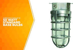 Woods L1706 Vandal Resistant Security Light With Ceiling Mount (150W Incandescent Bulb; Silver)
