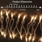 Christmas Lights 100 Count Mini Clear Lights 21ft White Wire Christmas Tree String Lights Set for Outdoor Indoor Christmas Decorations Wedding Decorations Valentines Day Decor,UL Certified (21feet)