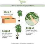 Nearly Natural 62IN Artificial Corn Stalk Dracaena Plant, Tall Fake Plant for Indoor Home Décor, Real Touch Faux Plant