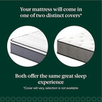 ZINUS 10 Inch True Support Hybrid Mattress [New Version], Queen, Fiberglass Free, Medium Feel, Motion Isolation, Certified Safe Foams & Fabric, Mattress in A Box