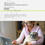 AromaPlan Hotel Scents Dubai 16 Fl Oz 2 Pack (946ml), Home Luxury Aroma & Hotel Fragrance Diffuser Oil- Hotel Diffuser Oil for Aromatherapy- USA Made, Bigger Bottle, Bolder Aroma & Longer Lasting