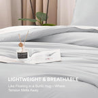 Litanika Light Grey Comforter California King Size, 3 Pieces Cal King Lightweight Solid Bedding Comforter Set, All Season Fluffy Bed Set (104x96In Comforter & 2 Pillowcases)
