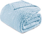 Exclusivo Mezcla Fleece Queen Size Blanket for Bed, 90x90 Inches Soft Cozy Jacquard Flannel Blankets, Lightweight Fuzzy Plush Warm for Winter, Light Blue