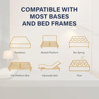 EGOHOME 12 Inch Full Mattress, Copper Gel Cooling Memory Foam Mattress for Back Pain Relief,Therapeutic Double Mattress Bed in a Box, Made in USA, CertiPUR-US Certified, 54x75x12 Black