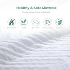 EGO 6 Inch Twin Mattress - Green Tea Memory Foam, Cooling Gel, Fiberglass-Free, CertiPUR-US Certified, for Kids, Bunk Beds, Trundle & Daybeds