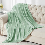 BEDELITE Throw Blanket for Couch and Bed - 300GSM Luxury Plush Cozy Fleece Blanket 50x60 Inches Mint Green, Soft Lightweight Blanket for Travel Camping