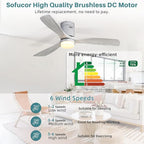Sofucor Ceiling Fan with Lights 52 Inch Flush Mount Ceiling Fan with Remote Control, 3 Solid Wood Blades Modern Outdoor Ceiling Fans for Bedroom/Farmhouse/Patio/Indoor, Quiet DC Motor, Silver & Grey