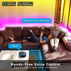 DAYBETTER 130ft Smart WiFi Led Lights, Led Strip Lights Work with Alexa and Google Assistant, App Voice Remote Control Music Sync Color Changing RGB Strip Lighting for Bedroom Room Decor, 65.6ft *2