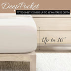 Linen Market Double-Brushed Microfiber Queen Sheet Set 4 Piece – Oeko-TEX Certified Ultra Soft & Wrinkle-Free - 16" Deep Pocket Sheets - Easy Care Queen Size - Ivory