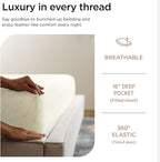 Threadmill Luxury 100% Cotton Full Bed-Sheets - 800 Thread Count Jacquard Celine Ivory,4 Pc Striped Best Sheets for Bed, Damask Sheets with Elasticized Deep Pocket