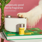 Aera True Loves Amber Skies - Deodorizing Home Fragrance Scent Refill for Pet Odor - Notes of Amber, Iris & Red Honeysuckle - 12.5mL - For Use With Aera Diffuser (Sold Separately)