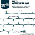 Joiedomi Clear Christmas String Lights Indoor,200(2x100) Mini Warm White Fairy Light,42.8 FT Lighting Decor for Patio Dorm Classroom Bedroom Holiday Wedding Party Garland Birthday Festival,Green Wire