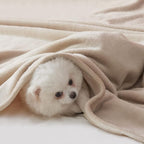 BEAUTEX Fleece Blanket King Size Super Soft Flannel Throw Blanket Lightweight Fuzzy Plush Blanket for Couch Sofa or Bed All Seasons (Ivory, 108" x 90")