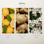 Scentiment Diffuser Oil- Malibu | Aromatherapy Home Fragrance | Inspired by Nobu® Hotel | Luxurious Scent with Notes of Lemon, Ginger, Musk (120 mL)
