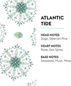 Atlantic Tide | Lampe Berger Fragrance Refill by Maison Berger | for Home Fragrance Oil Diffuser | Purifying and perfuming Your Home | 16.9 Fluid Ounces - 500 milliliters | Made in France