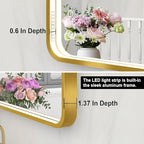 LED Bathroom Mirror with Lights, 20x28 Inch Brushed Gold Metal Frame LED Mirror for Bathroom, Stepless Dimmable 3 Colors Wall Mounted Lighted Bathroom Vanity Mirror, Anti-Fog, Memory