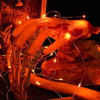 BrizLabs Orange Halloween Lights, 19.47ft 60 LED Orange Fairy Lights String, 2 Modes Battery Halloween String Light, Indoor Silver Wire Twinkle Light for Christmas Thanksgiving Party Carnival Decor