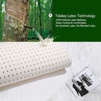 Sunrising Bedding 8" Natural Latex Twin XL Mattress, Individually Encased Pocket Coil, Firm, Supportive, Naturally Cooling, Organic Mattress, 120-Night Free Trial, 20-Year Warranty