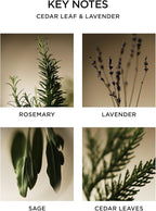 NEST New York Reed Diffuser, Cedar Leaf & Lavender - 5.9 fl oz - Fragrance for Up to 90 Days - Reusable, Refillable Glass Holder - Includes 8 All-Natural Reed Sticks - Flame Free