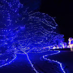 Dazzle Bright Outdoor Christmas String Lights, 1000 LED 328 FT Plug in Fairy Light with Remote Control 8 Modes & Timer, Waterproof Decoration for Home Garden Yard Xmas Wedding, Blue