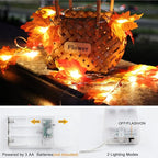 2 Pack Thanksgiving Decorations Maple Leaf Pumpkin Lights, Total 20Ft 40 LED Battery Operated 3D Pumpkin Fall Leaves Garland String Lights for Home Mantel Table Porch Door Indoor Outdoor Fall Decor