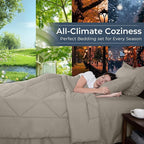 HEVUMYI Oatmeal Queen Comforter Set - 7-Piece All Season Bed in a Bag Queen, Ultra Soft Bedding Set with Comforter, Flat Sheet, Fitted Sheet, Pillowcases, Pillow Shams