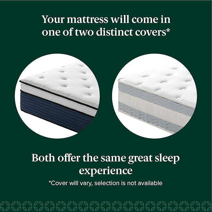 ZINUS 10 Inch Comfort Support Hybrid Mattress [New Version], Queen, Fiberglass Free, Medium Plush, Motion Isolation, Certified Safe Foams & Fabric, Mattress in A Box