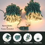 ODEETRONIC Christmas Lights, 21.63ft 100 Count Incandescent Clear Christmas Lights, UL Certified Outdoor Mini Clear Light Connectable, Green Wire Tree Light Indoor for Home Party Decor, Warm White
