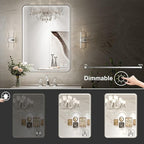 LED Bathroom Mirror with Lights,20x28 Inch Brushed Silver Framed Lighted Vanity Mirror,Anti Fog Stepless Dimmable Wall Mounted(Horizontal/Vertical)
