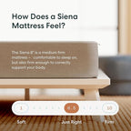 Siena 8” Twin XL Mattress with Adjustable Base - Head & Foot Incline - Medium Firm Gel Memory Foam - Premium Pressure Relieving Layers - Wireless Remote with Memory - Zero Clearance - Zero Gravity