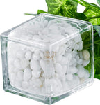 MyGift Artificial Clover and Taro Plants in Clear Glass Vase with Decorative White Stones, Set of 3