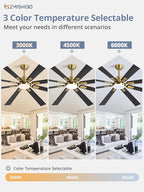 ZMISHIBO 80 Inch Black and Gold Ceiling Fans with Lights and Remote, Indoor/Outdoor Ceiling Fan for Patio Living Room, 6 Speed Reversible Quiet DC Motor, 3 CCT, Dual Finish Blades