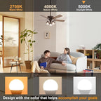 comzler LED Ceiling Fan Light Bulbs, A15 LED Light Bulb, 60 Watt Equivalent E12 Candelabra Base Light Bulbs, Daylight 5000K, 600LM, CRI > 80, Non-dimmable, 8 Pack