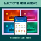 WiZ Connected Smart Light Bulbs, Sunset to Sunrise Automation + Motion Detection + Control with Voice or App, Full Color A19 60W 800LM Indoor, Matter Compatible -3 Pack