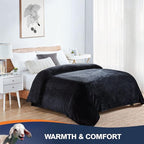 Walensee Fleece Blanket Plush Throw Fuzzy Lightweight (Throw Size 50x60 Black) Super Soft Microfiber Flannel Blankets for Couch, Bed, Sofa Ultra Luxurious Warm and Cozy for All Seasons