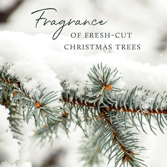 Thymes Frasier Fir Reed Diffuser Set – Includes Reeds, Fragrance Oil, and Frosted Glass Bottle – Fragrance Oil Diffuser – Room Fresheners – Luxury Home Decor – Green & White (Frosted Plaid, 4 fl oz)