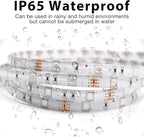 DAYBETTER IP65 Waterproof Led Strip Lights, Smart WiFi LED Lights Work with Alexa and Google Assistant, Color Changing Lights with APP Control, Suit for Bedroom, Bathroom, Home Decor, Outdoor, 32.8ft