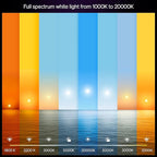 Philips Hue Smart LED A19 Bulb, White & Color Ambiance, E26 Base, 7.2W, Full Spectrum Light 1000K-20000K, 810 Lumens, Dimmable, Works with Alexa, Google, & Apple Home,1pk