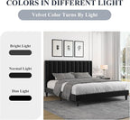 Allewie Queen Bed Frame/Velvet Upholstered Bed Frame with Vertical Channel Tufted Headboard/Strong Wooden Slats/Platform Bed Frame/Mattress Foundation/Box Spring Optional/Easy Assembly/Black
