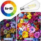 Brightown 4 Pack LED Edison Bulbs, 6W, Equivalent 60W, High Bright 5000K White,750 Lumens, Non-Dimmable, E26 Medium Base ST58 Antique Filament Bulbs with 83+ CRI for Ceiling Fan Bathroom Porch
